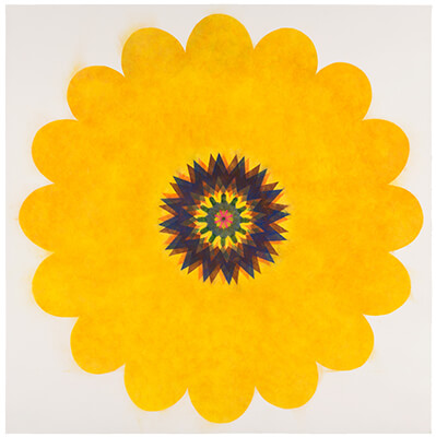 pigment on paper, Pop Flower Opus 6 by Mary Judge.