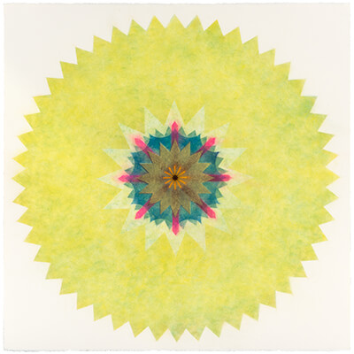 pigment on paper, Popflower 6094 by Mary Judge.
